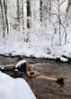 Eisbaden