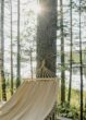 gute Reise-News