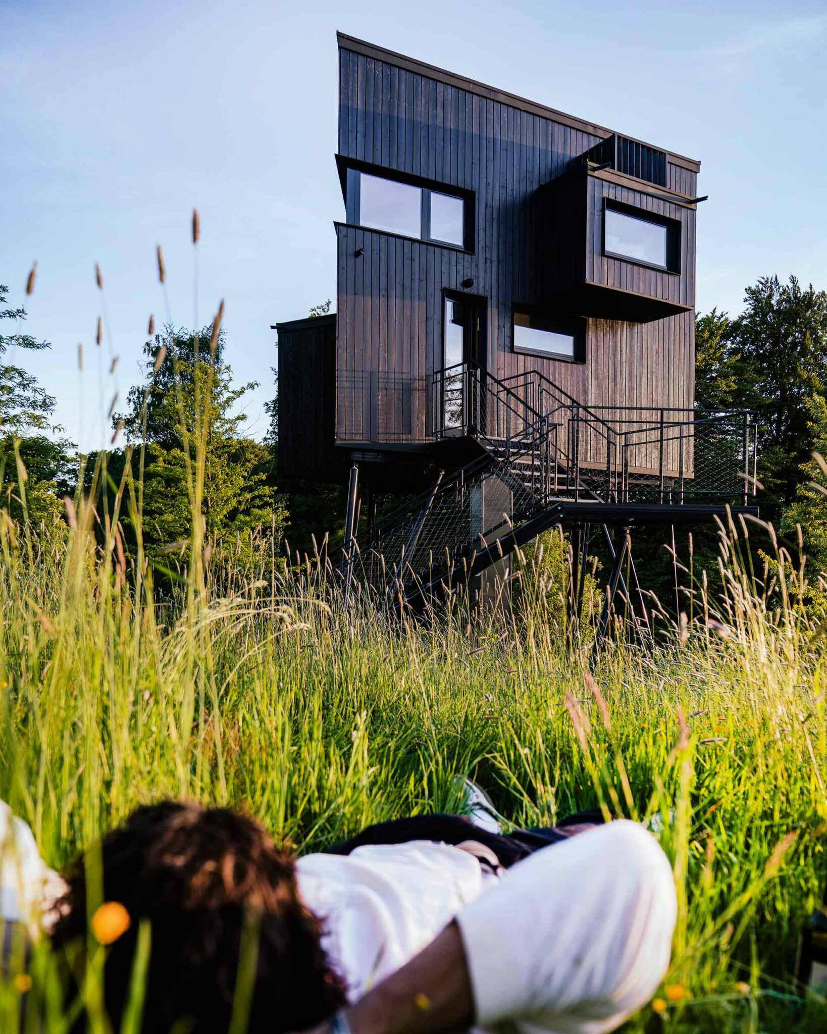 K1's treehouse