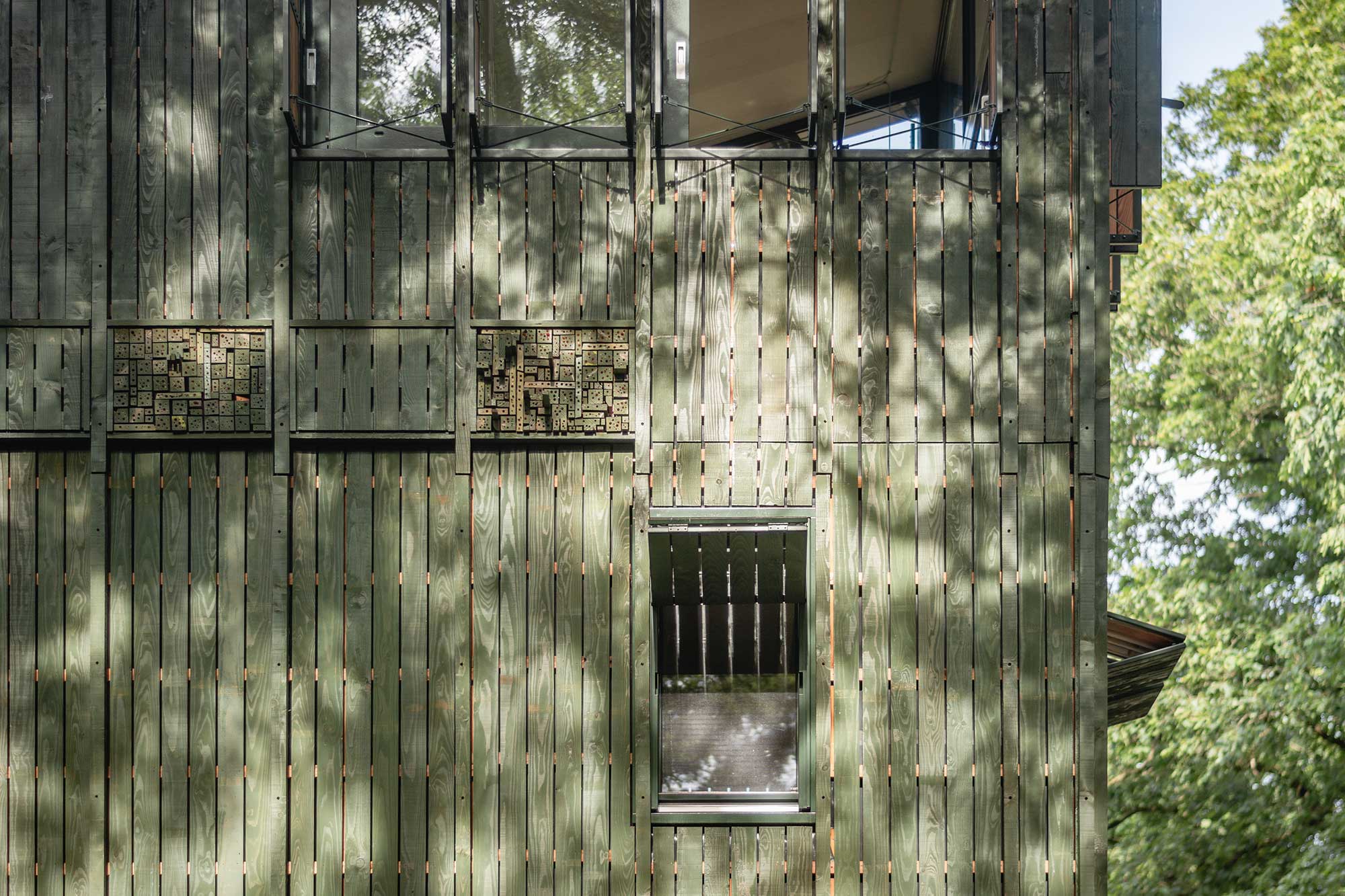 Treehouse Detail