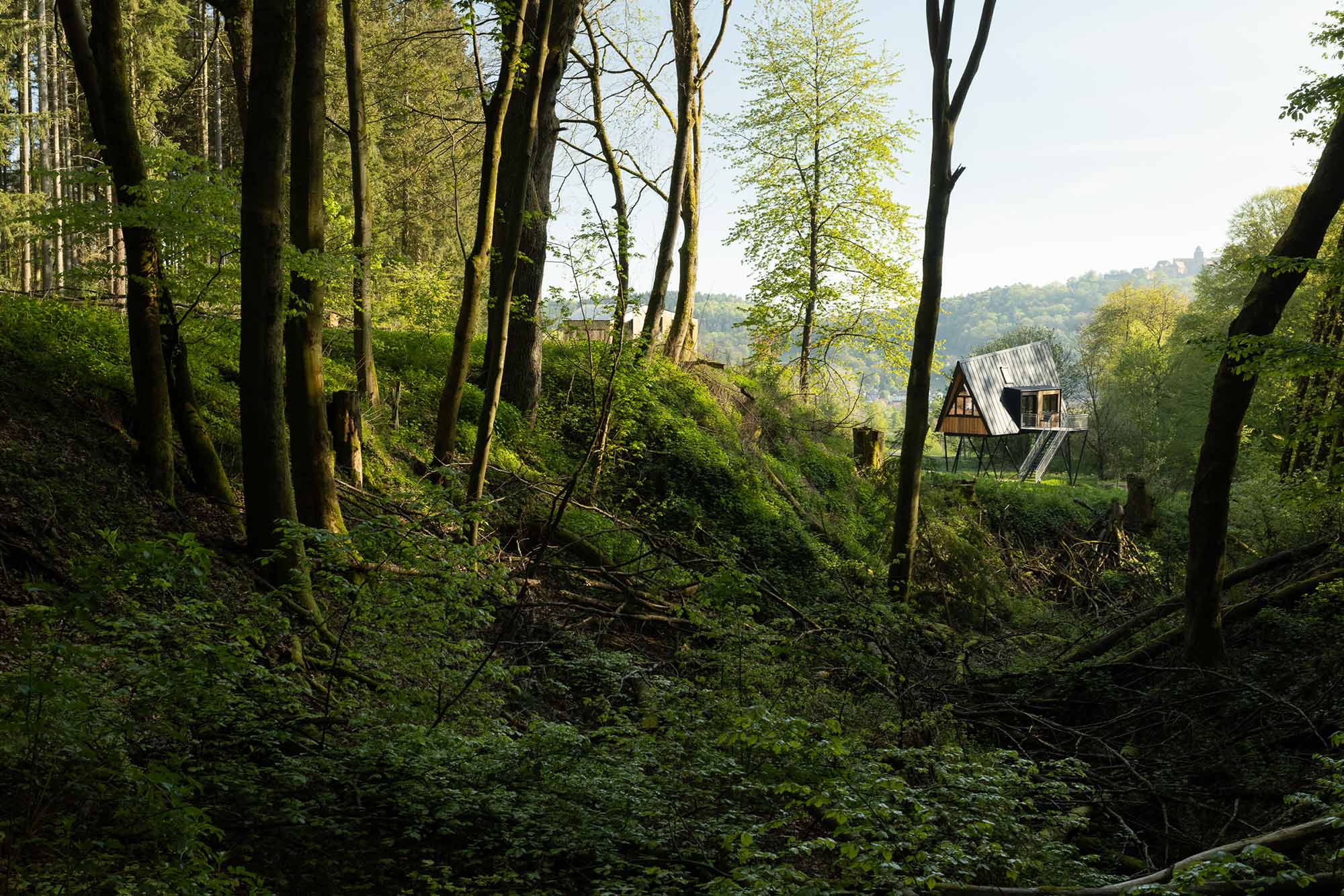 Treehouse apartments in the forest