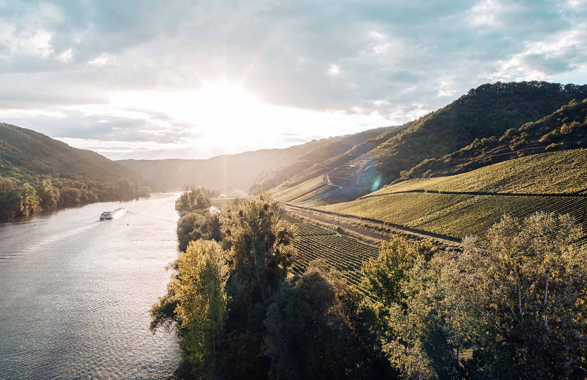 LandschaftFerienhausMoselChalets