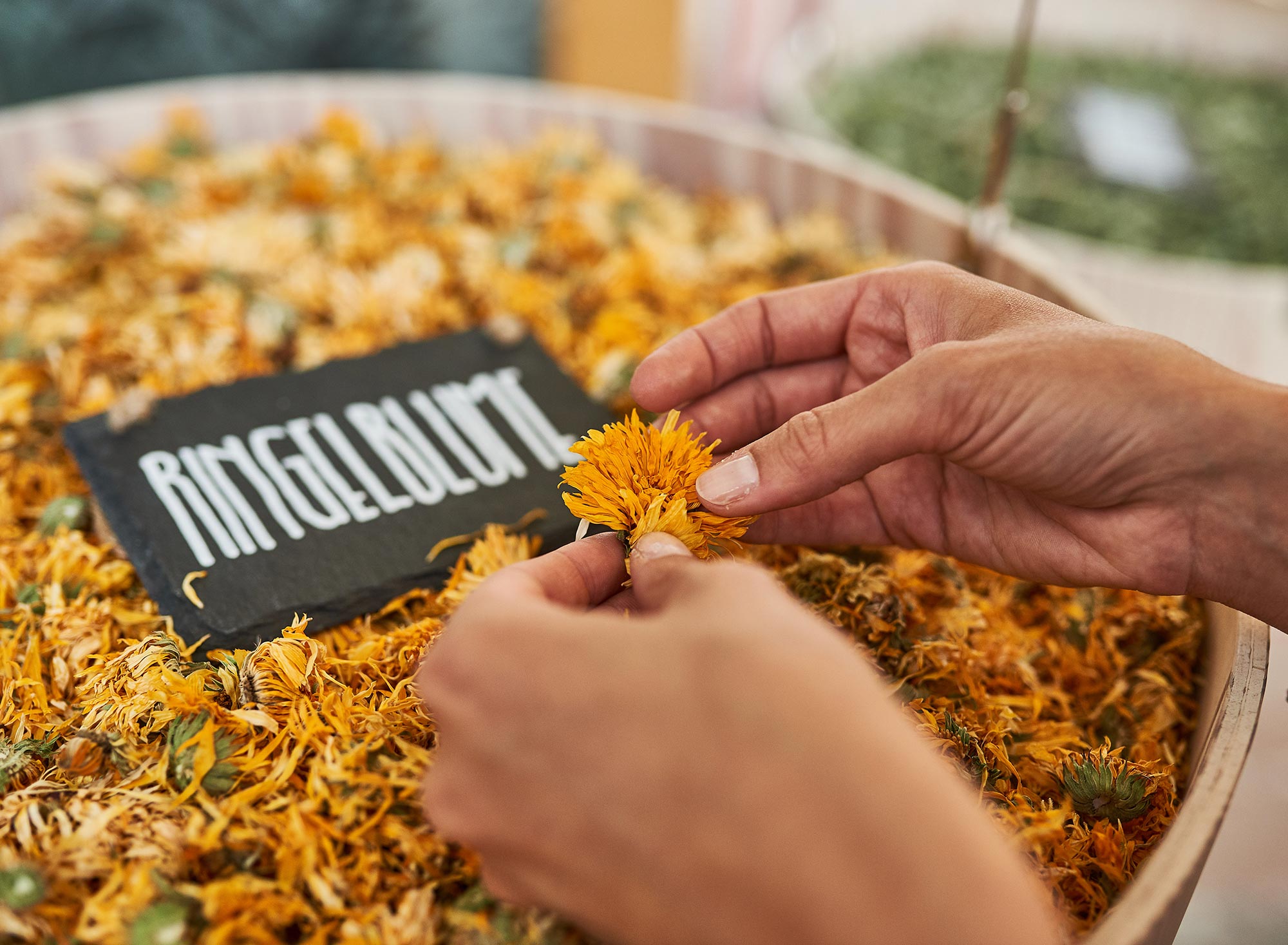 Hände sortieren getrocknete Ringelblumen in einem Holzkorb mit Kreideschild