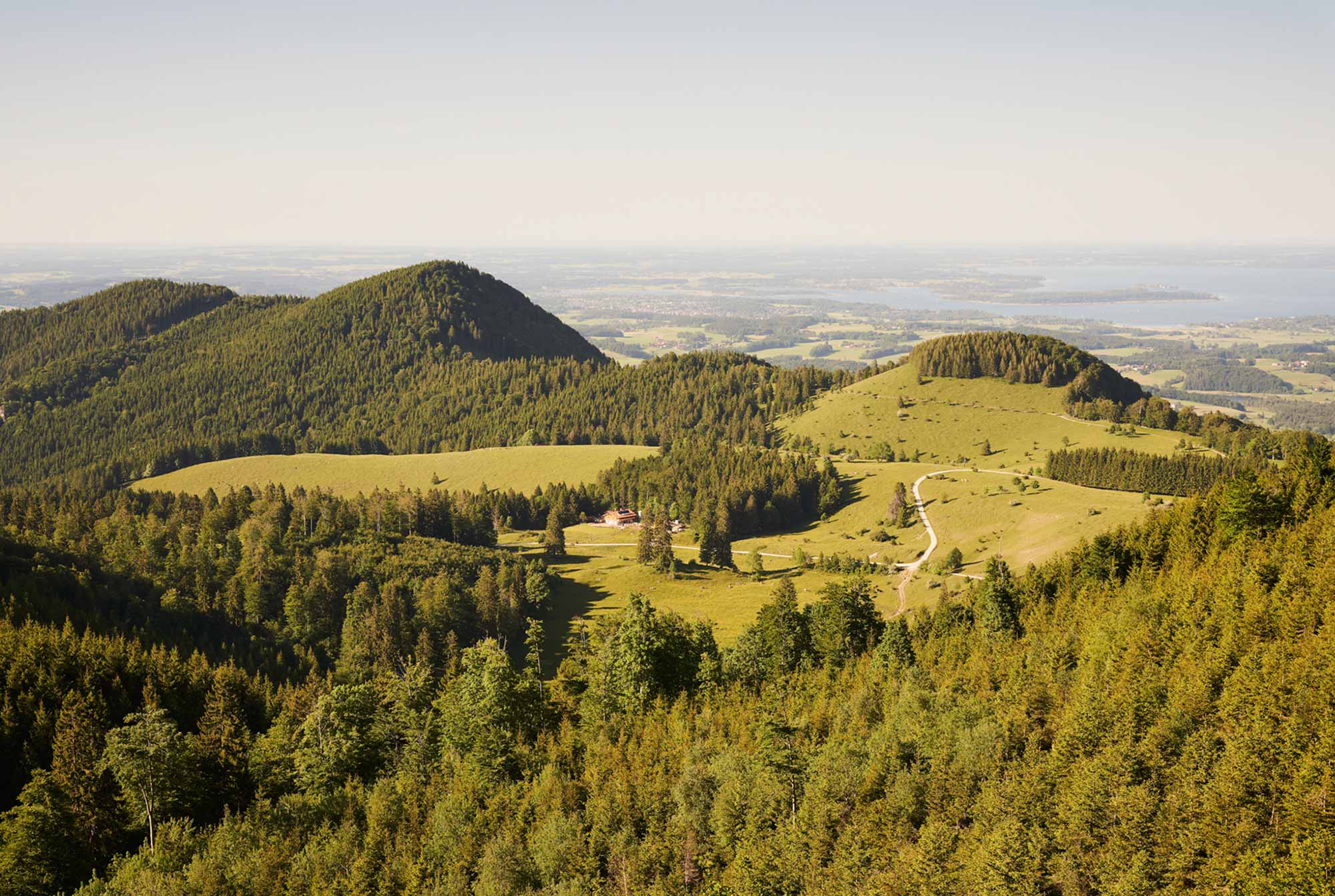 STUBN_FRASDORF