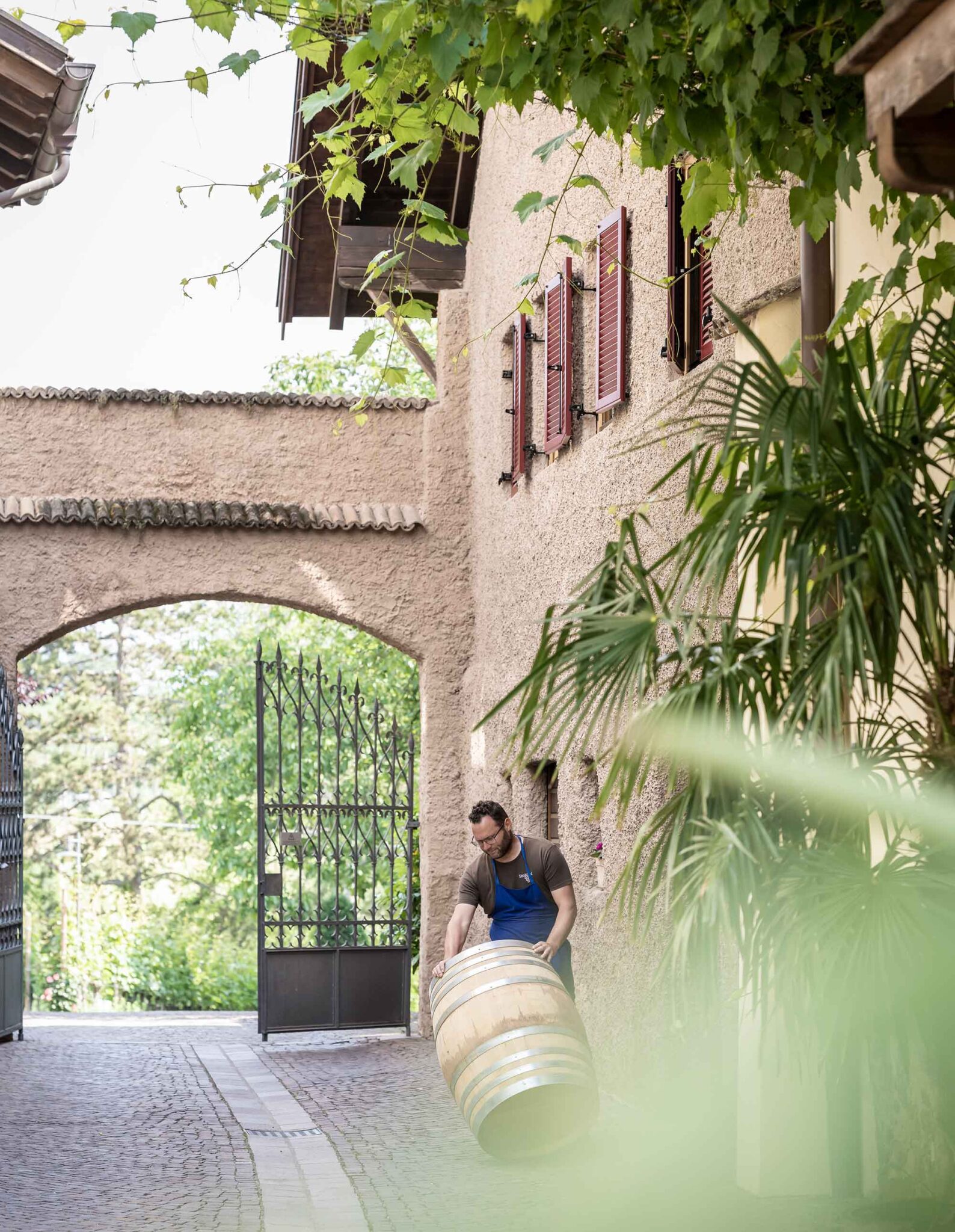 Weingut mit mediterraner Gourmetküche