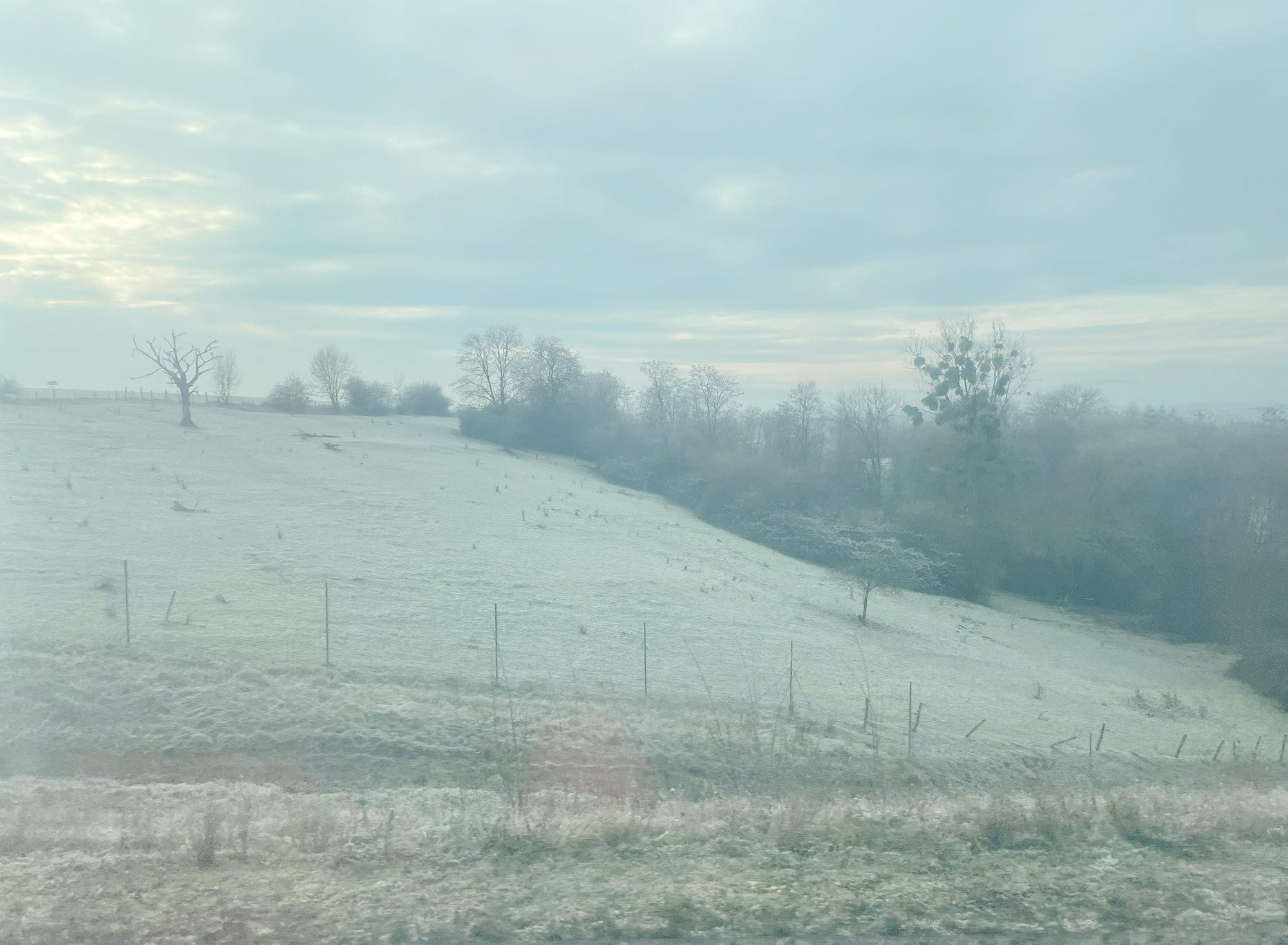 Verschneite deutsche Winterlandschaft mit bereiften Wiesen und kahlen Bäumen, gesehen aus dem ICE