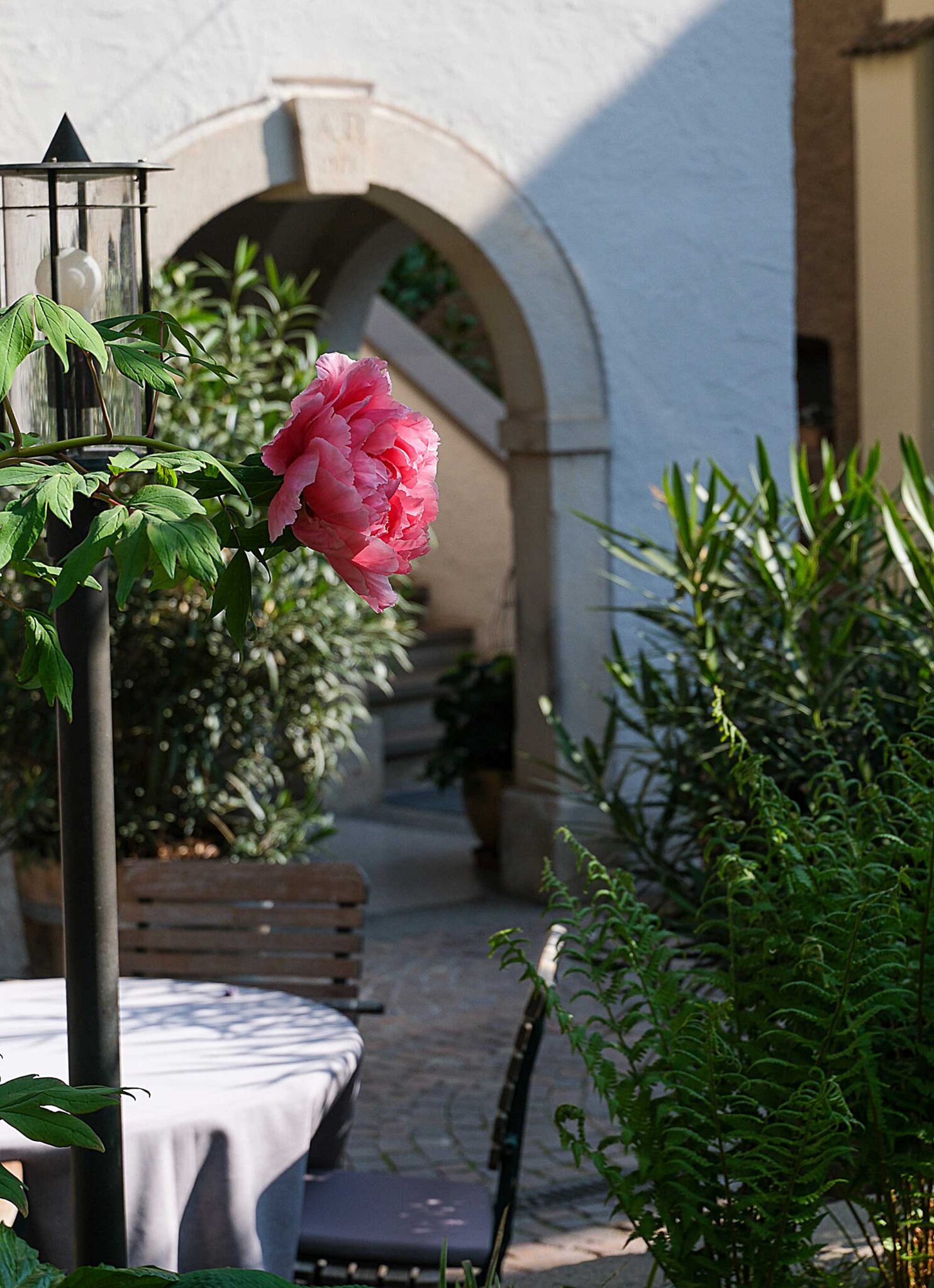 Historischer Innenhof des Stroblhof Eppan mit blühender rosa Pfingstrose, Rundbogeneingang und weiß verputzten Mauern
