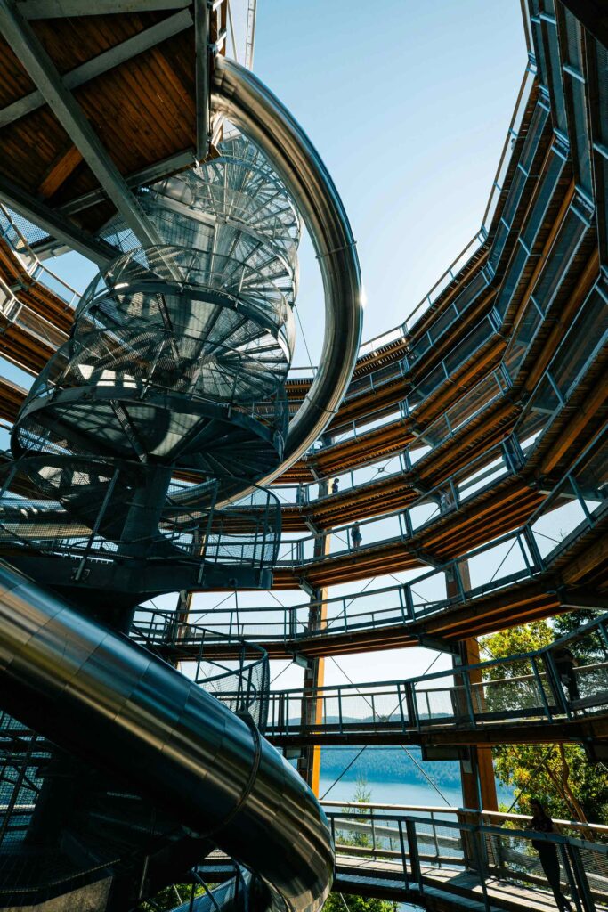 Baumwipfelpfad im Naturerbe Zentrum