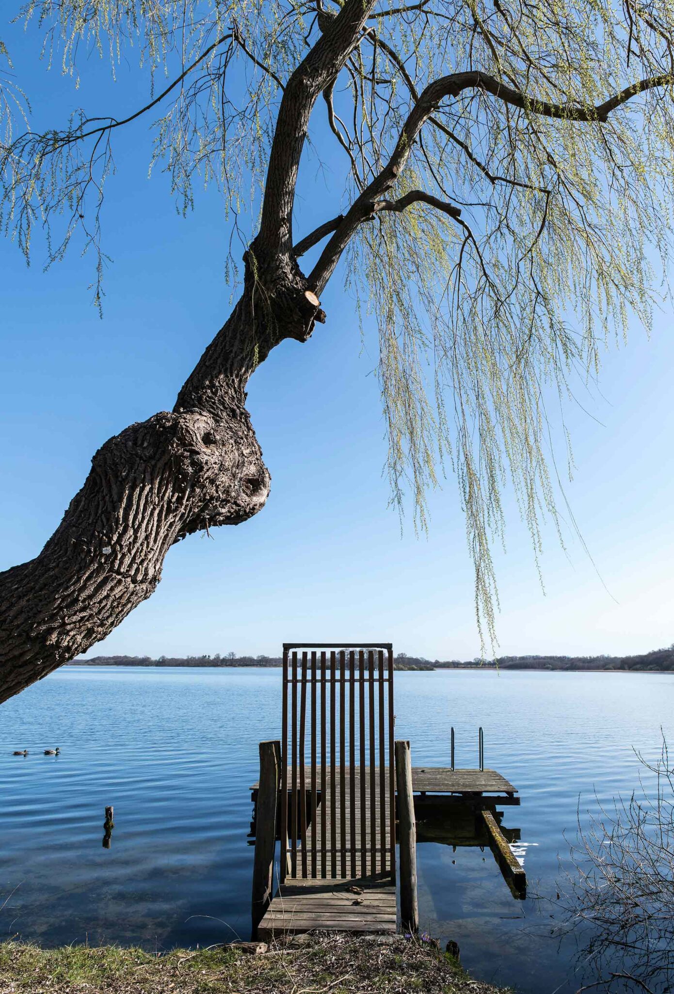 Schaalsee