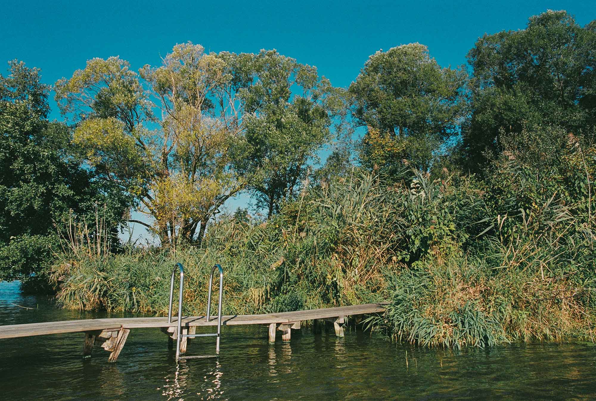 Holzsteg mit Leiter am Ufer bei Ferien Werder Am Mühlenberg, Werder (Havel), Brandenburg
