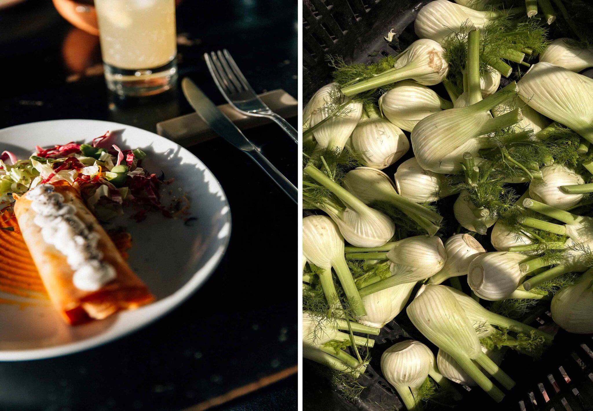 Collage aus angerichtetem vegetarischem Gericht mit Crêpe-Rolle und frisch geernteten Fenchelknollen mit Grün