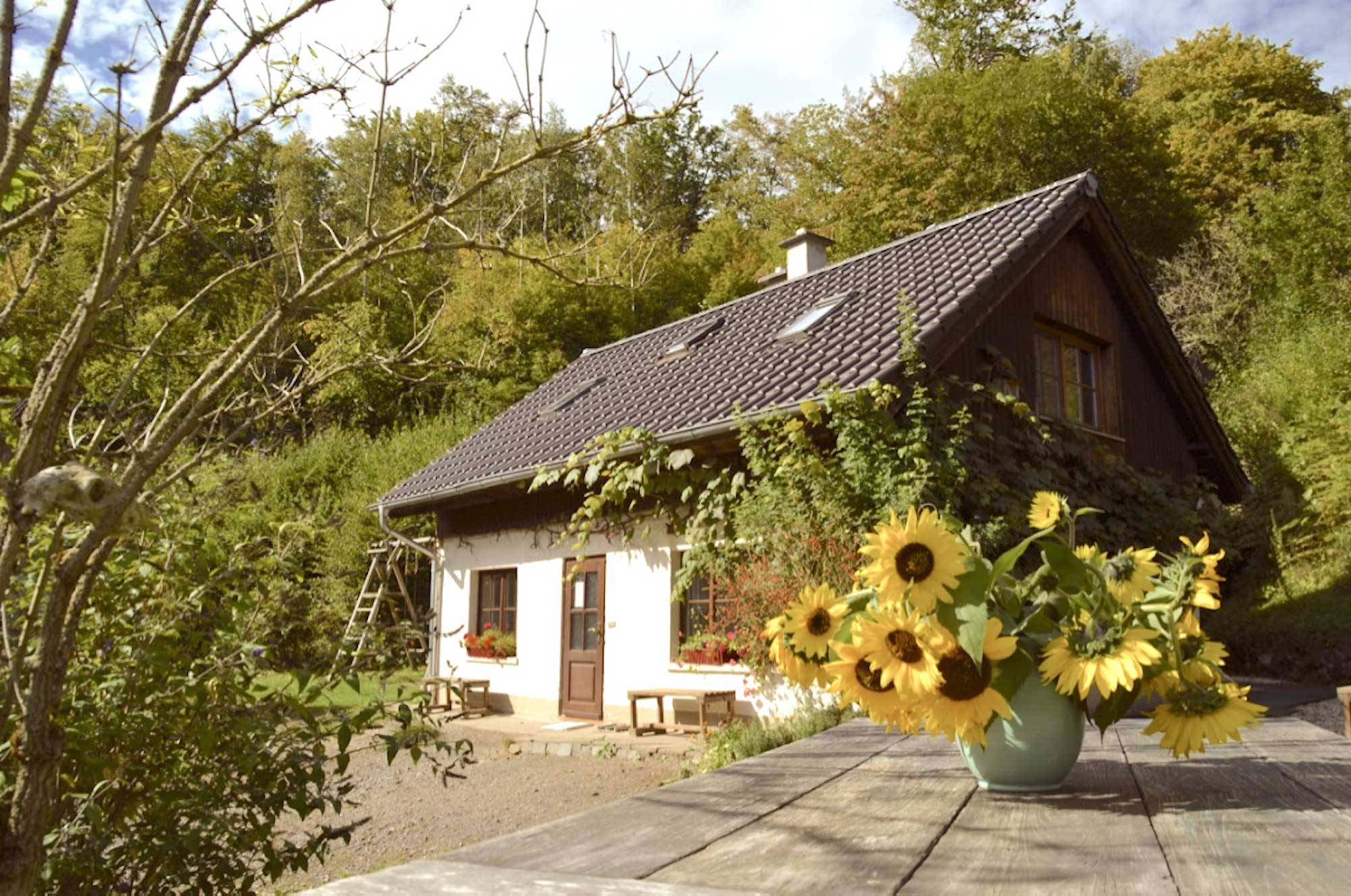 Gästehaus mit Satteldach und Sonnenblumenstrauß auf der Terrasse der Mucherwiese im Siebengebirge