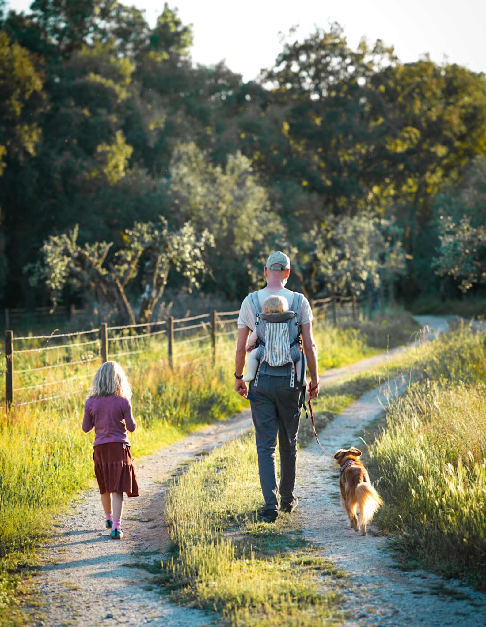 Familie mit Kindern und Hund spaziert auf einem Feldweg durch die Natur rund um das Gandum Village