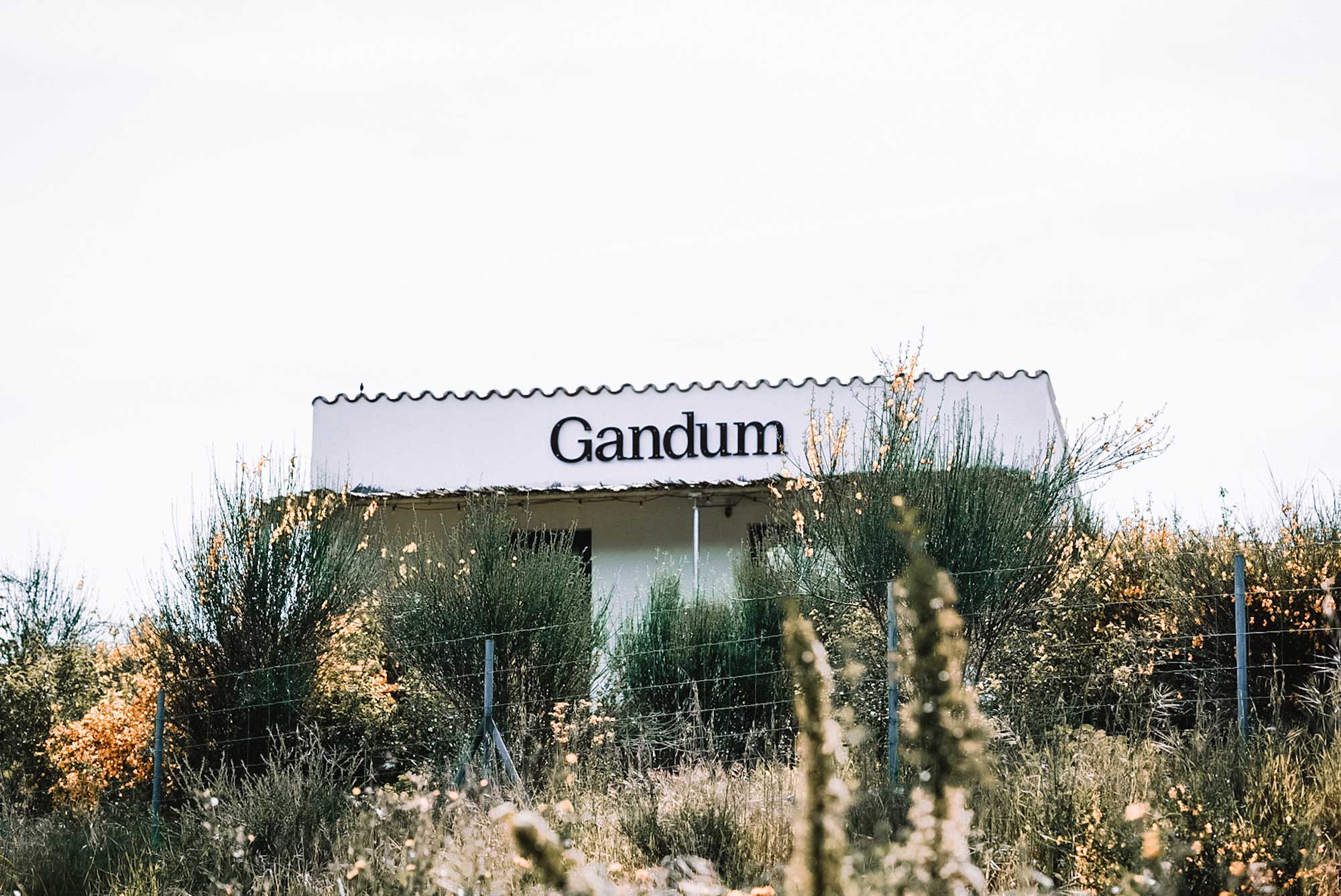 Weißes Gebäude mit dem Schriftzug „Gandum" am Eingang des Gandum Village im Alentejo
