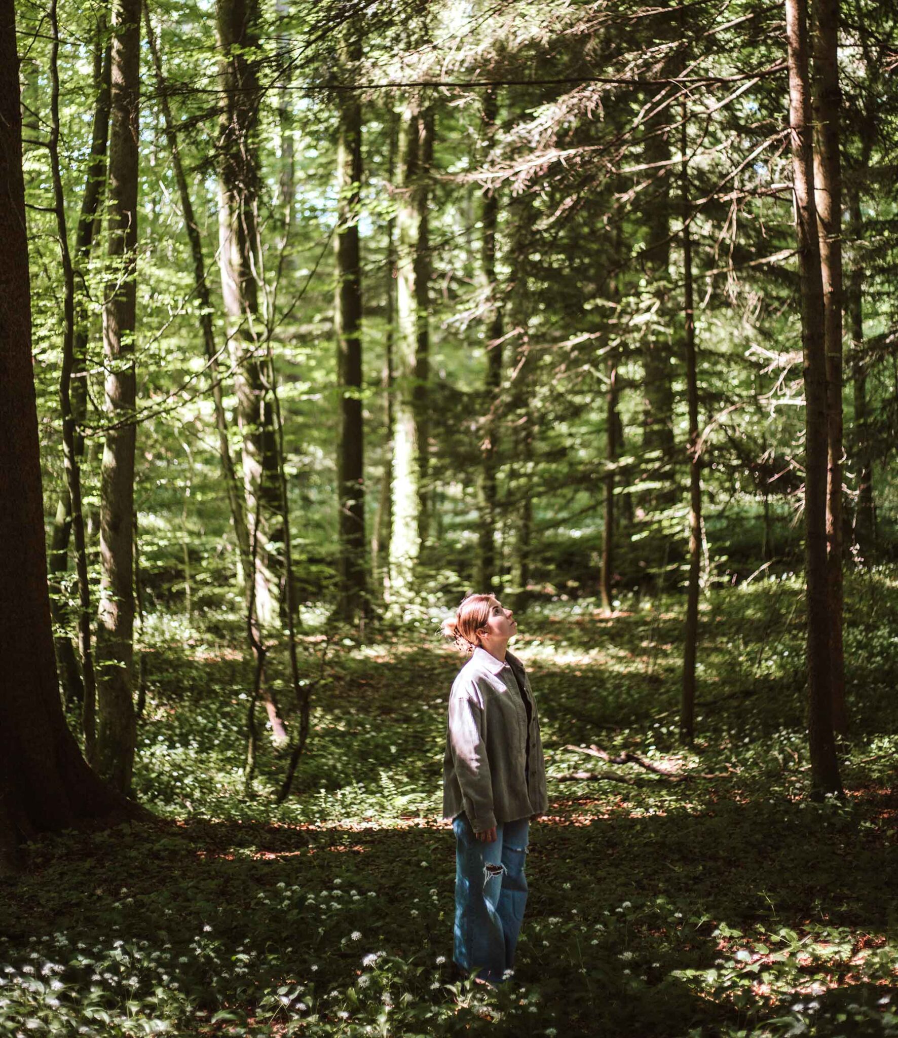 Erholung pur im Wald