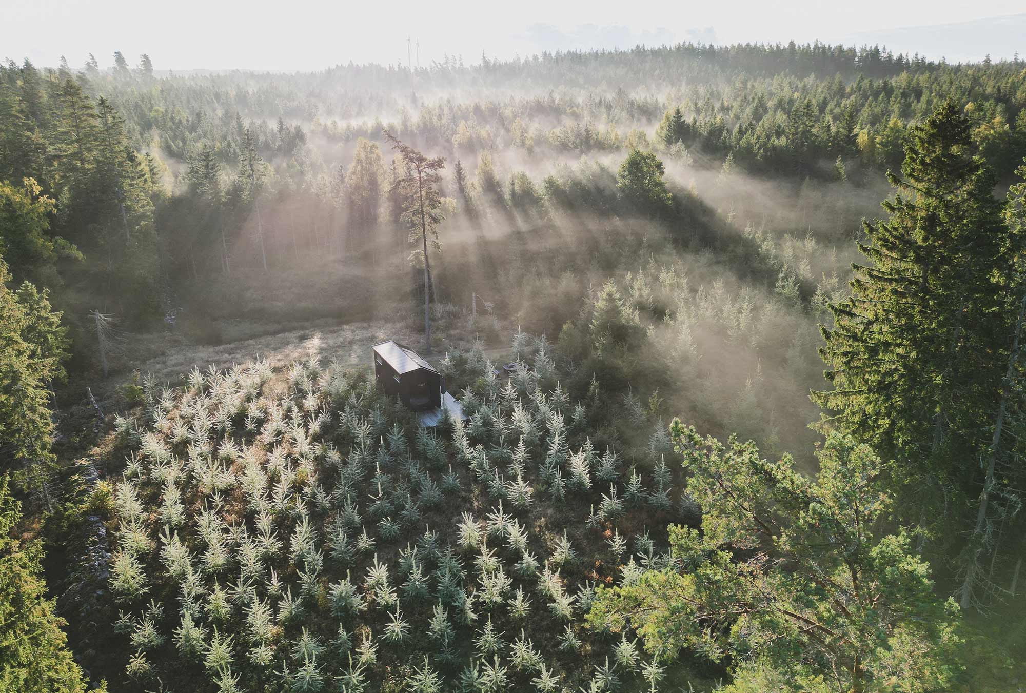 inforest-luftaufnahme-huette-nebelwald.jpg Luftaufnahme einer einzelnen INFOREST-Hütte in einer Lichtung, umgeben von jungem Nadelwald und Morgennebel