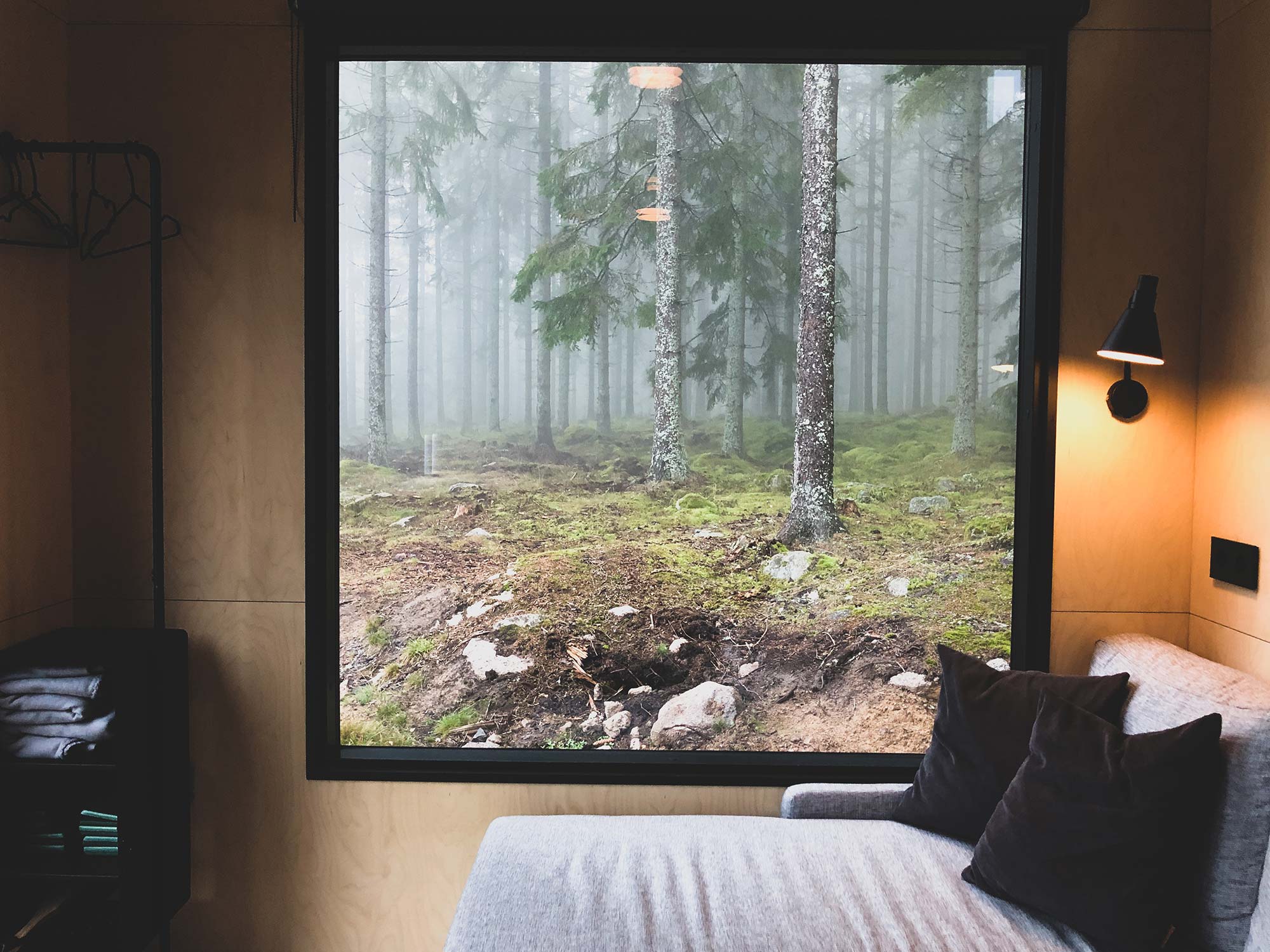 Großes Panoramafenster mit Blick in den neblig-grünen Wald, fotografiert vom Bett der INFOREST-Hütte aus