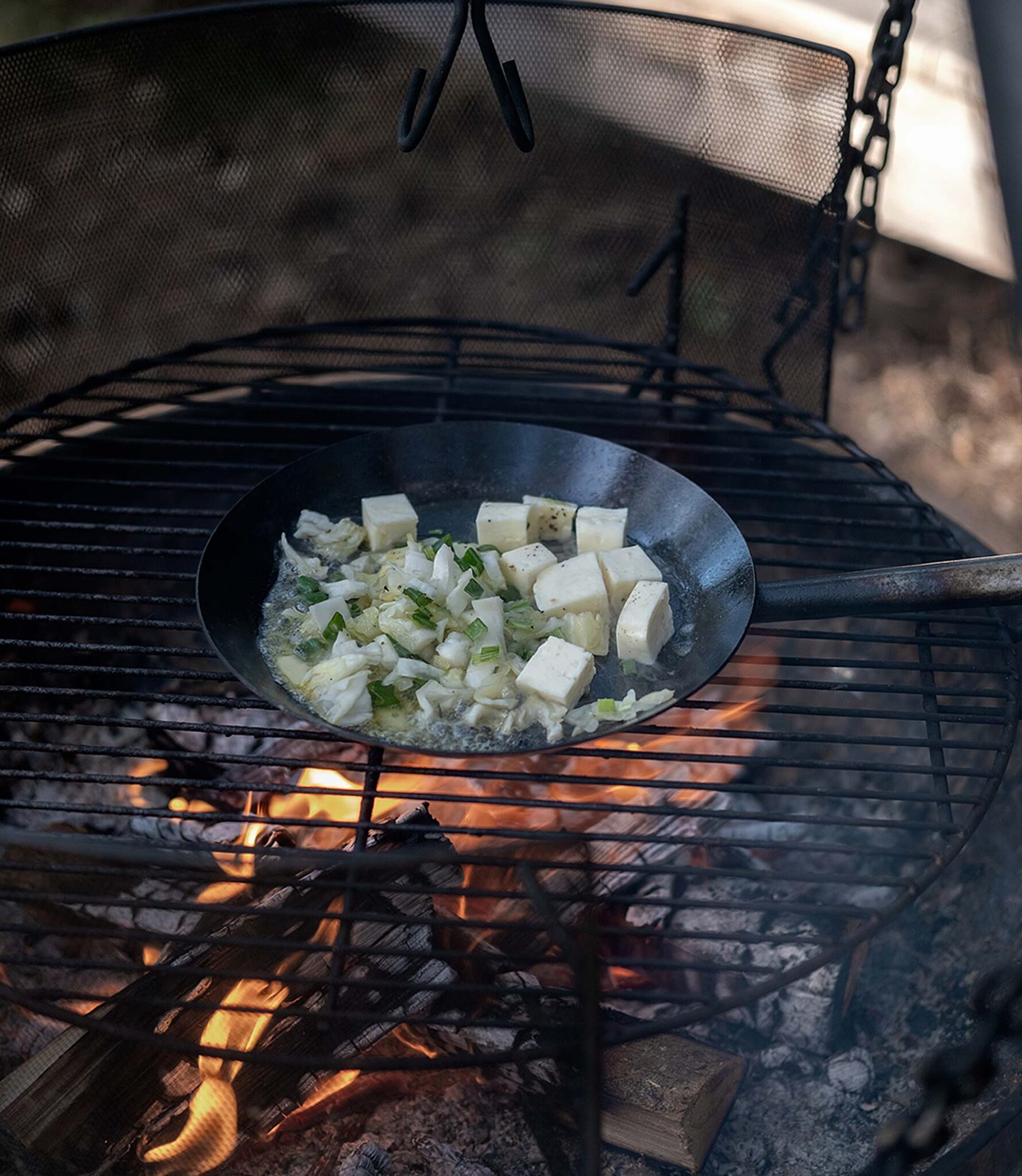 Kleine Pfanne mit gebratenem Käse und Kohl auf dem offenen Lagerfeuer bei Naturlogi