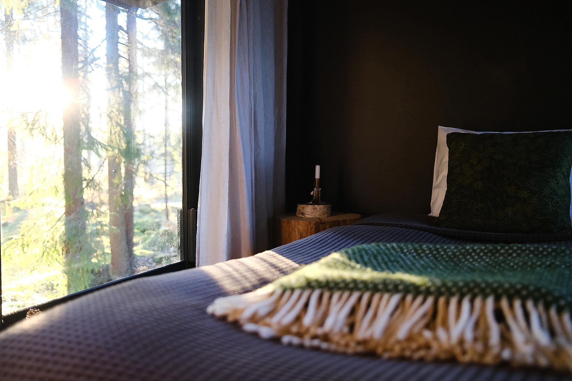 Bett mit Wolldecke und Blick durch ein großes Fenster in den herbstlichen Wald in der Glamping-Unterkunft Naturlogi