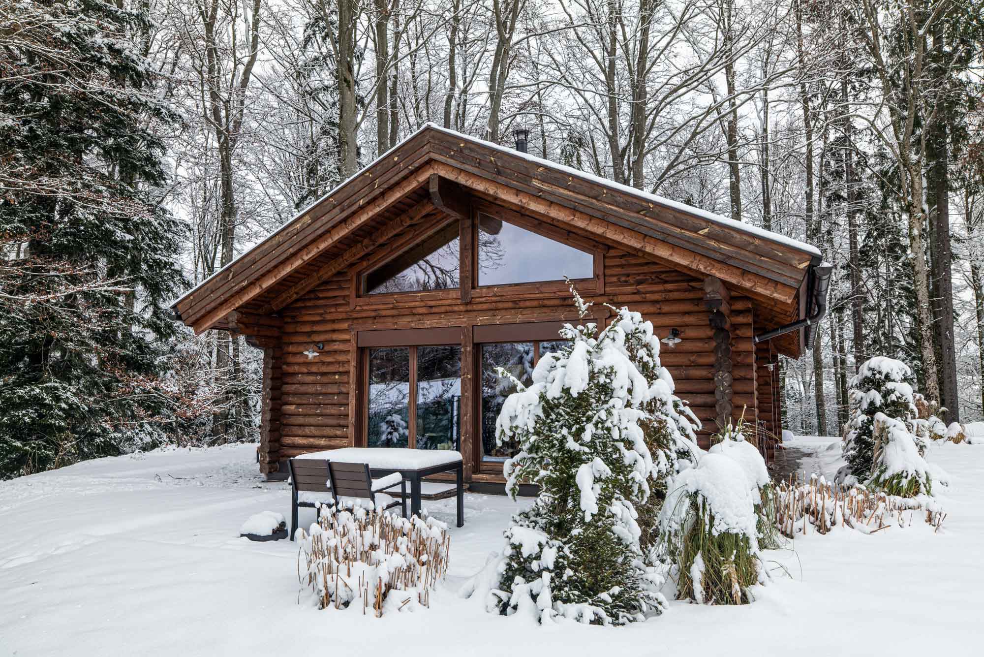 Verschneite Außenansicht der Hütte am Wald im Salzburger Land, umgeben von winterlichem Wald