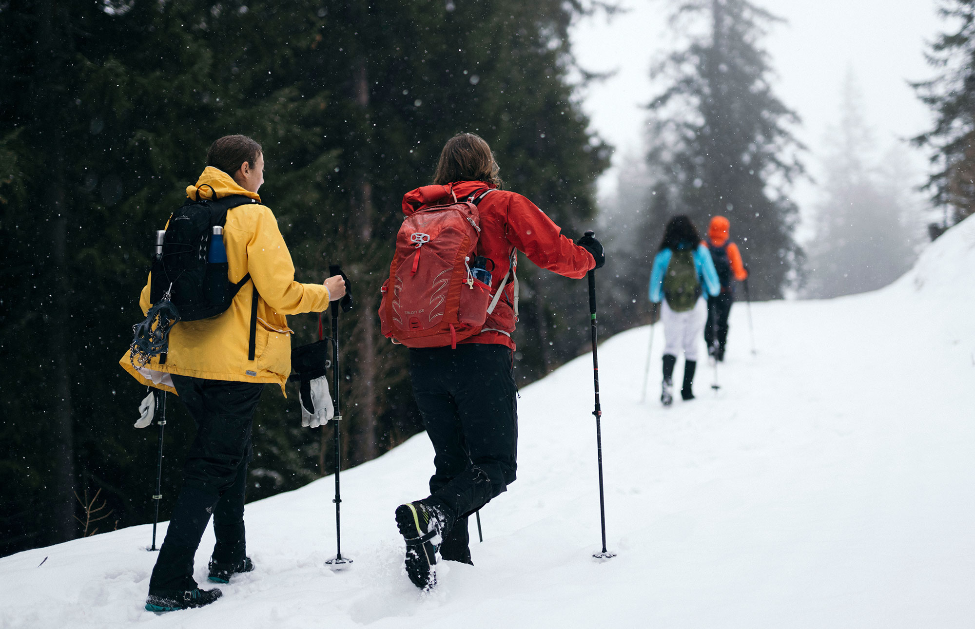 Gruppe beim Schneeschuhwandern durch verschneiten Lärchenwald der MoaAlm Mountain Retreat bei leichtem Schneefall