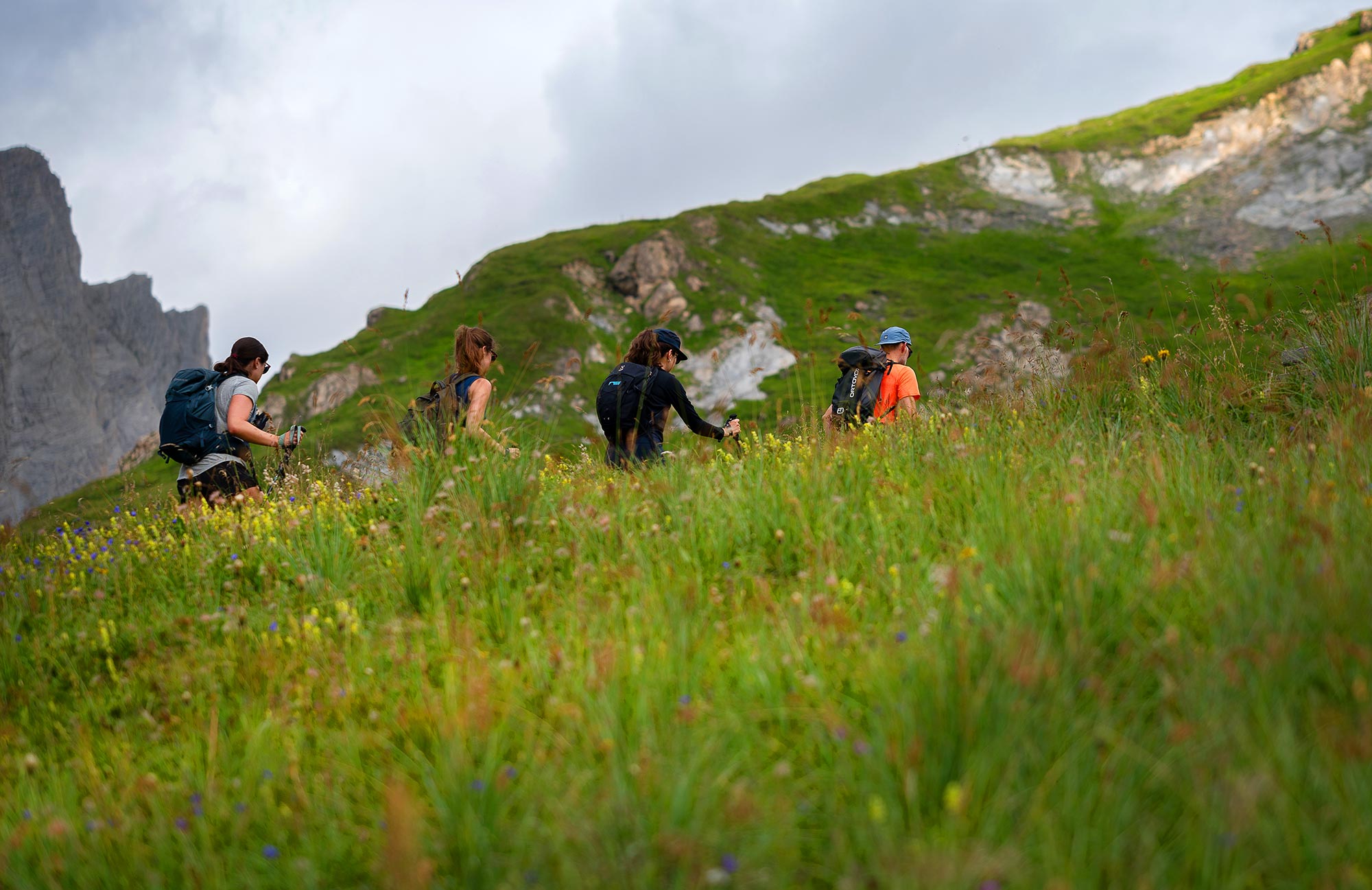 Wandergruppe der MoaAlm Mountain Retreat steigt durch eine blühende Bergwiese vor Felsformationen im Sommer