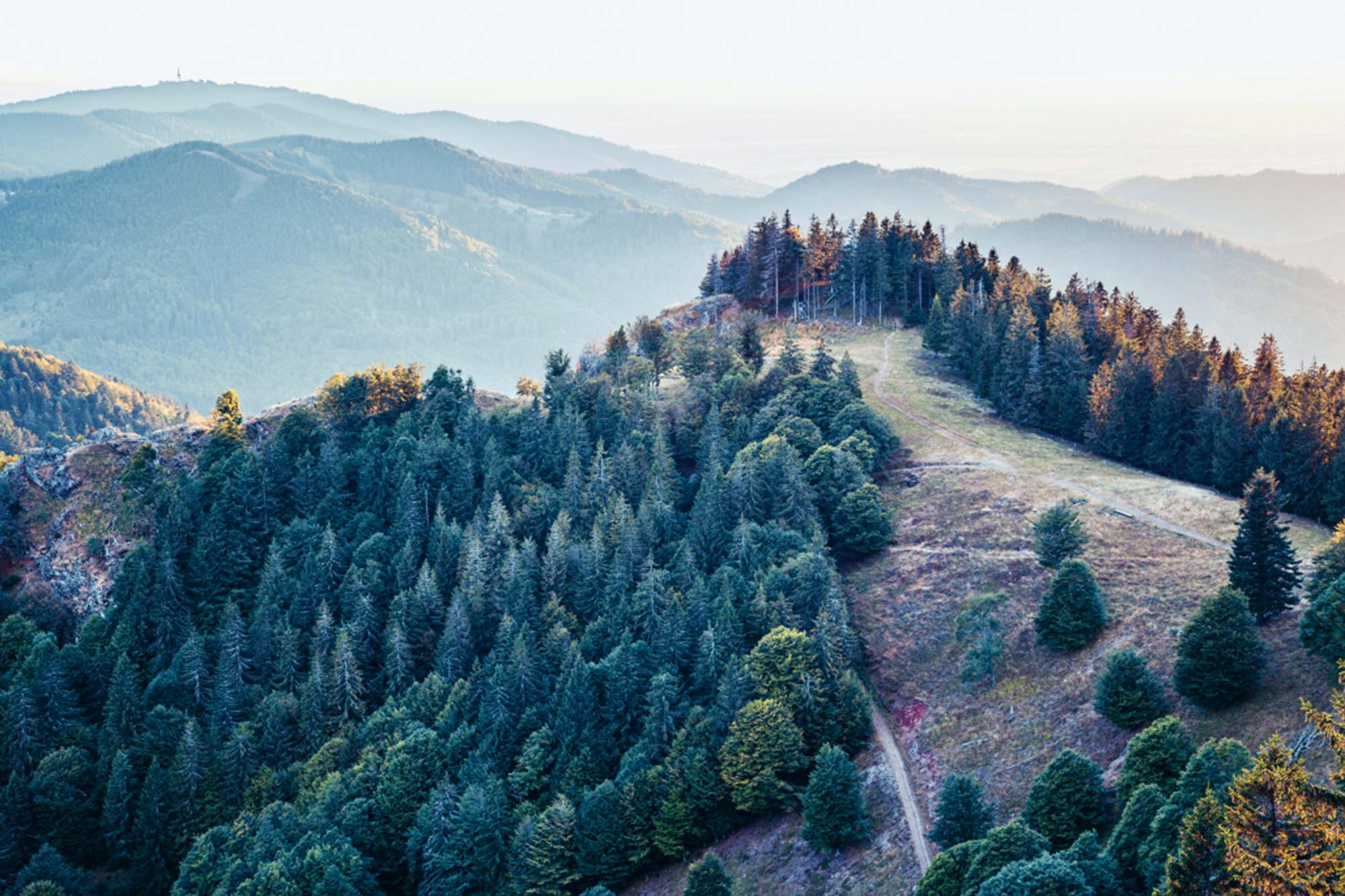 Luftaufnahme eines bewaldeten Bergkamms im Schwarzwald mit Blick auf dahinterliegende, dunstige Höhenzüge