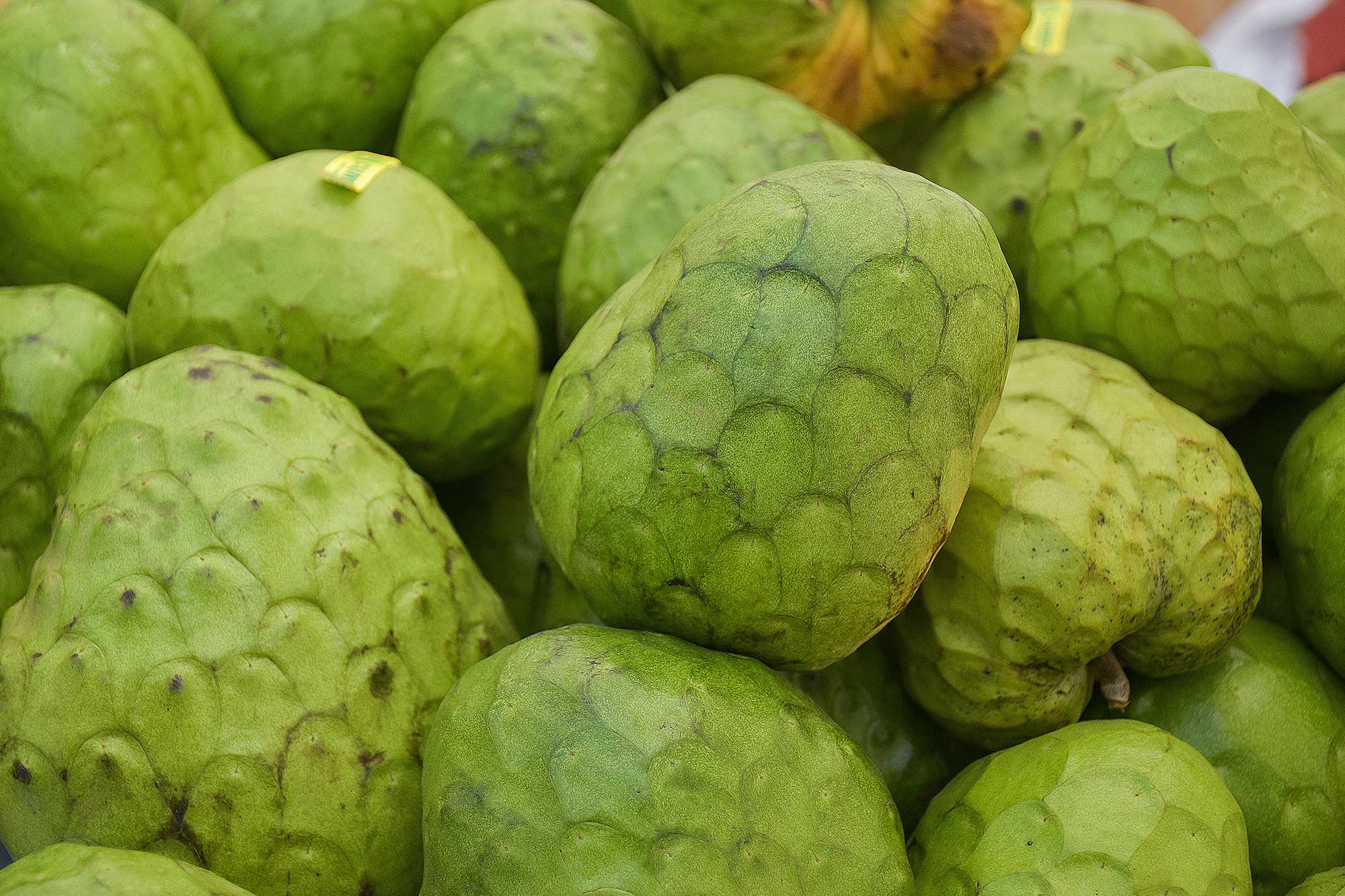 Cherimoya