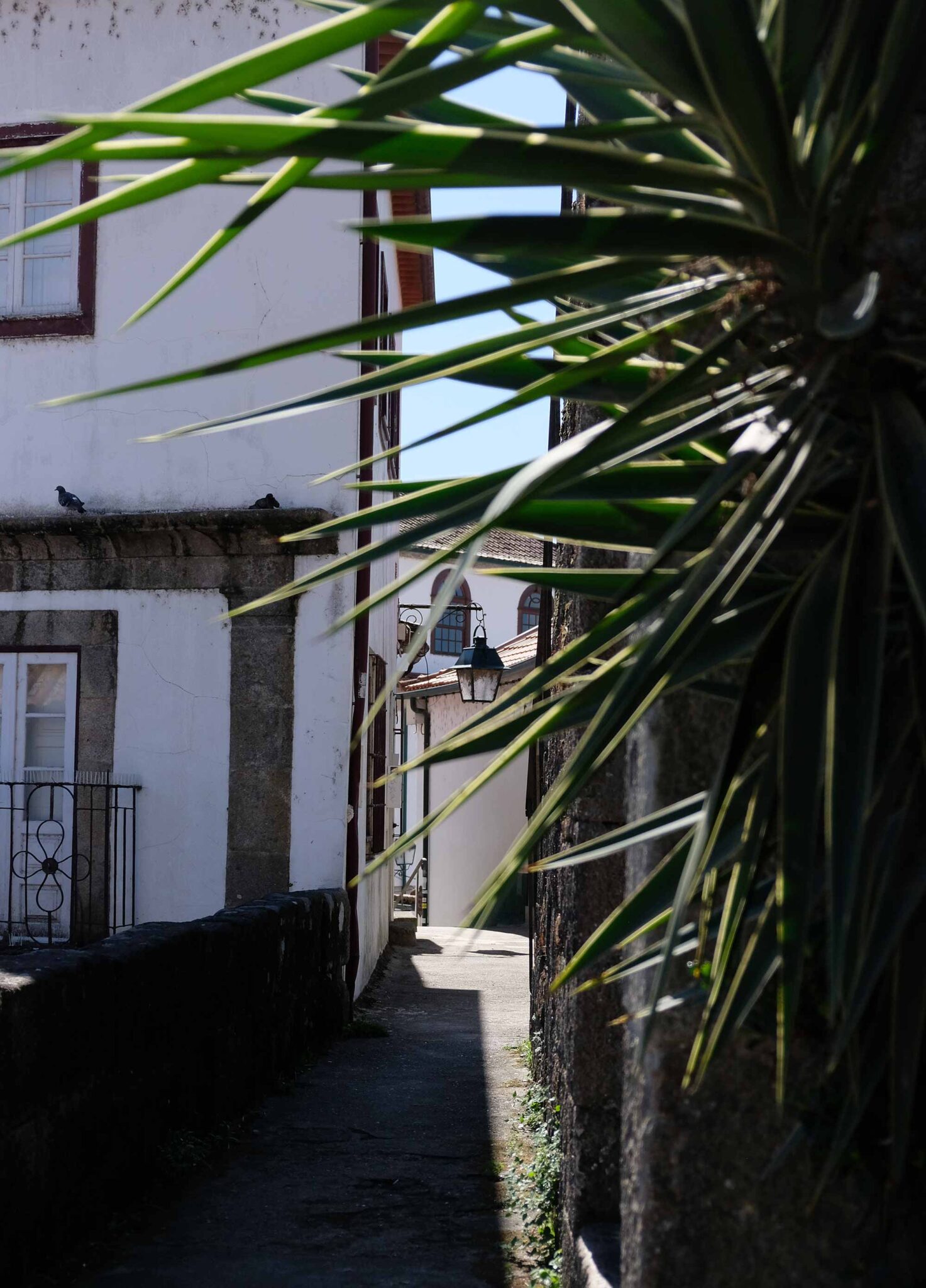 Ponte de Lima