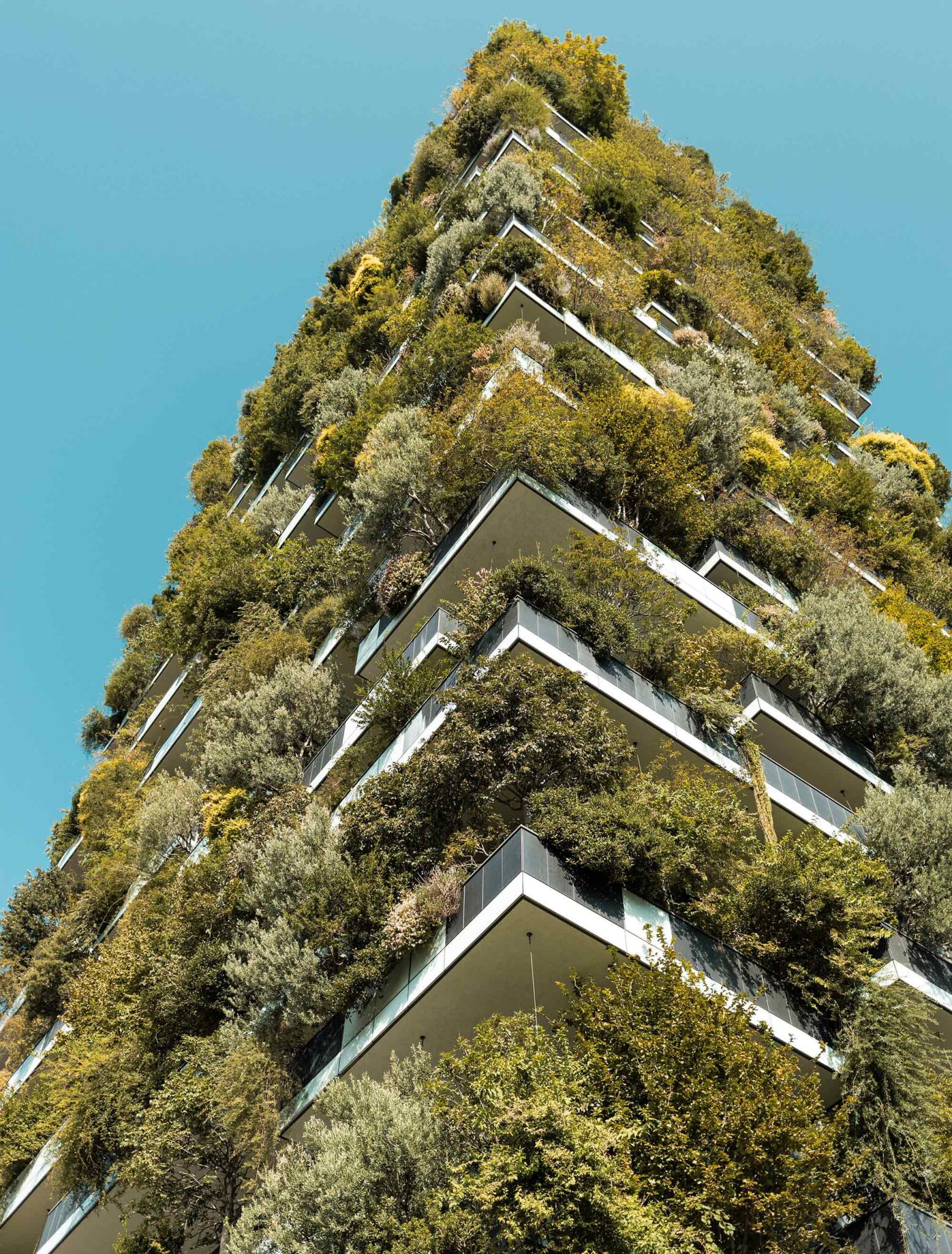 Vertikaler Garten