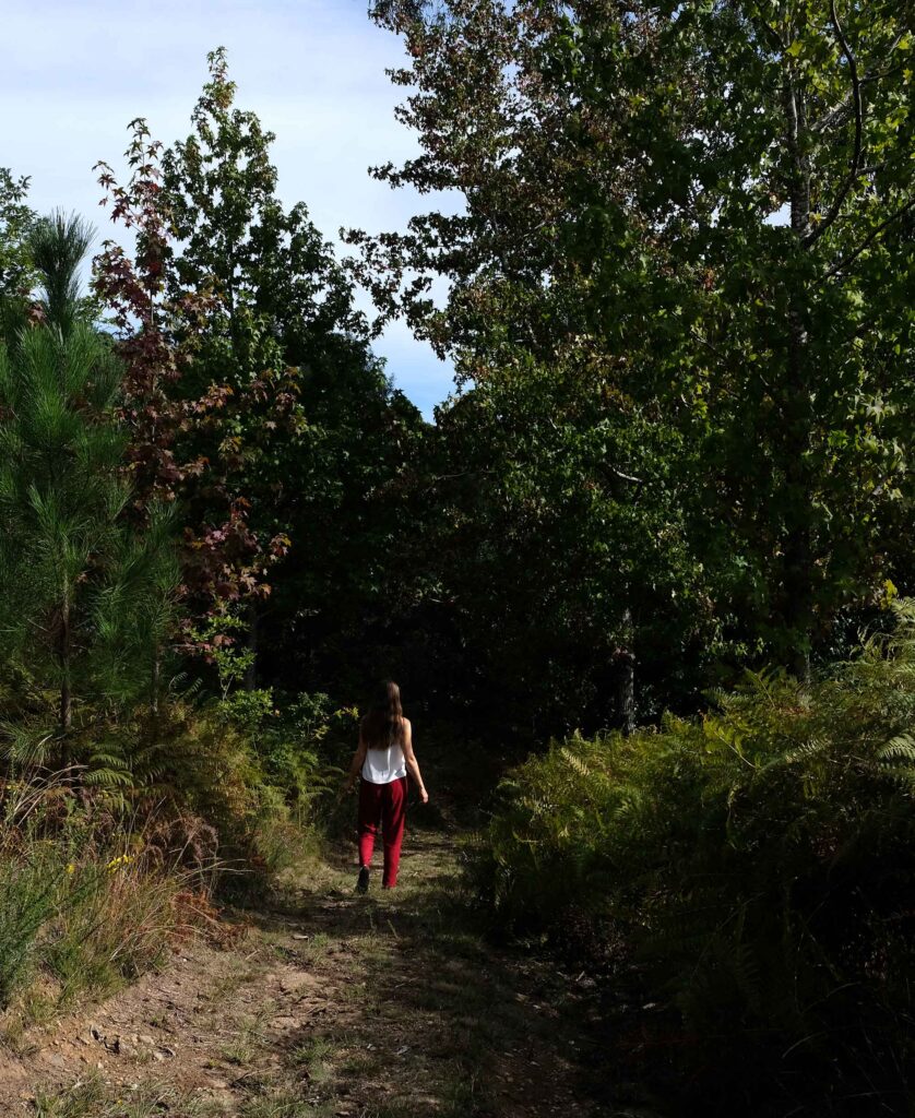 Waldspaziergang