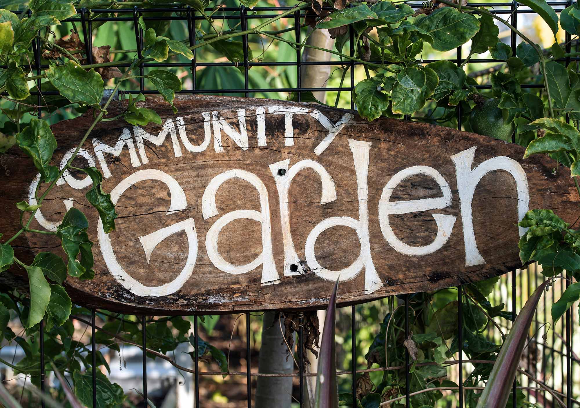 Handgemaltes Holzschild mit der Aufschrift „Community Garden" an einem von Ranken bewachsenen Zaun