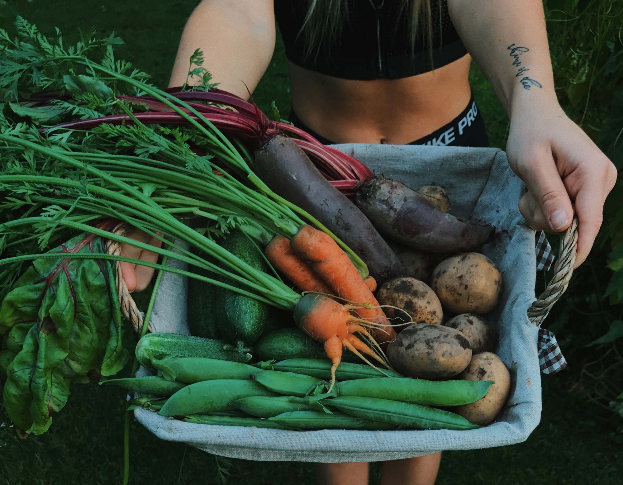 korb.jpg Person hält einen Korb mit frisch geerntetem Gemüse: Möhren, Rote Bete, Kartoffeln, Erbsenschoten, Gurken und Mangold