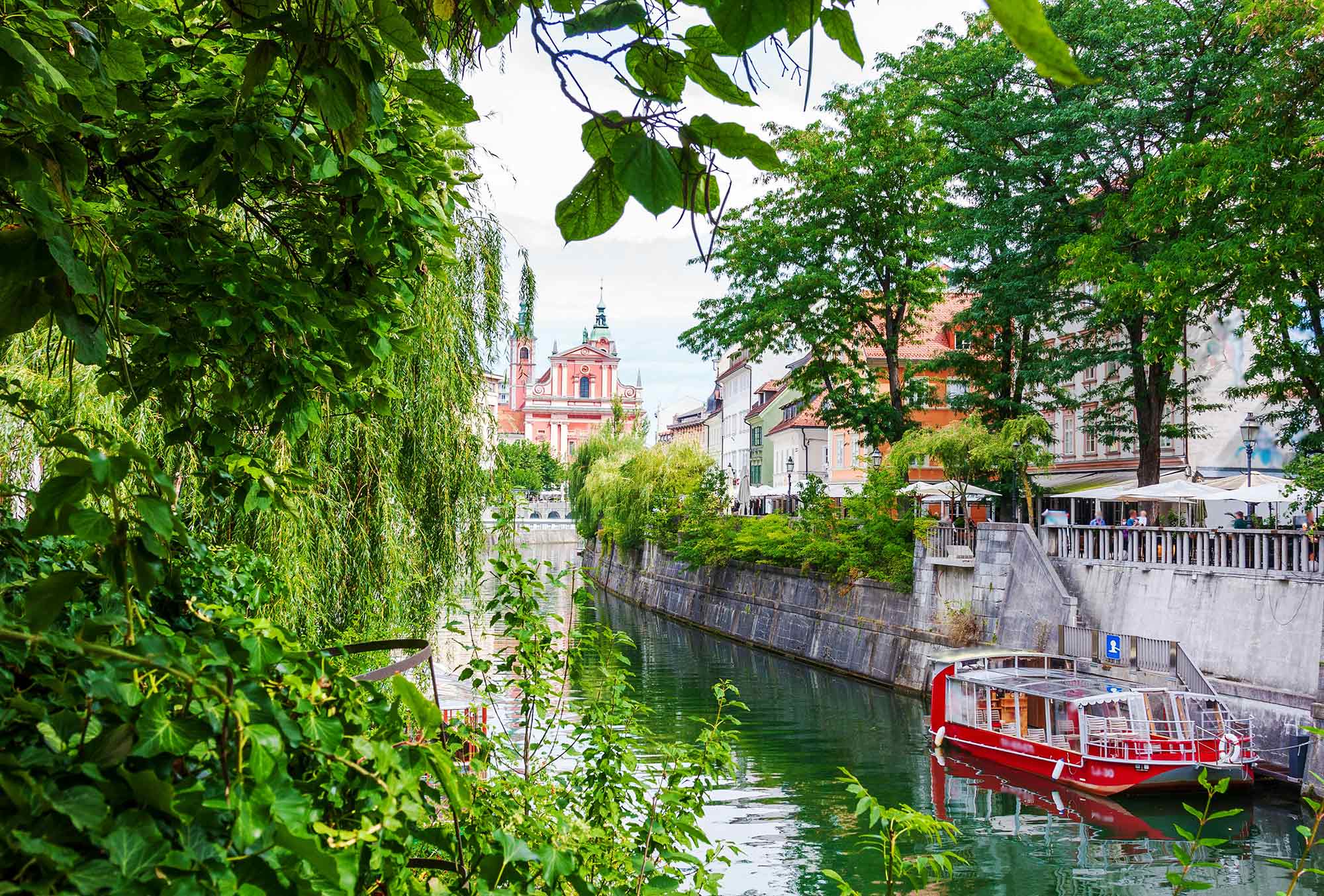 Die Ljubljanica fließt zwischen grünen Bäumen und Trauerweiden durch Ljubljana, rotes Ausflugsboot am Ufer, Café-Terrassen und die rosa Franziskanerkirche im Hintergrund
