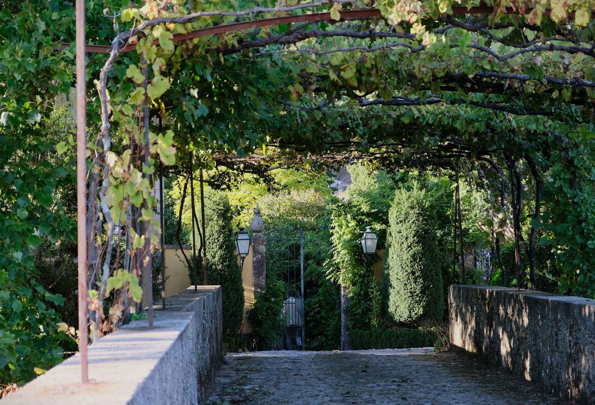 Gepflasterte Auffahrt unter einer Weinreben-Pergola, gesäumt von Steinmauern, zum Eingangstor der Quinta da Bouça d’Arques