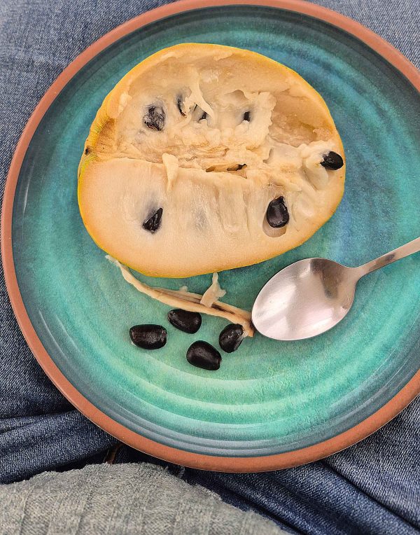 Cherimoya